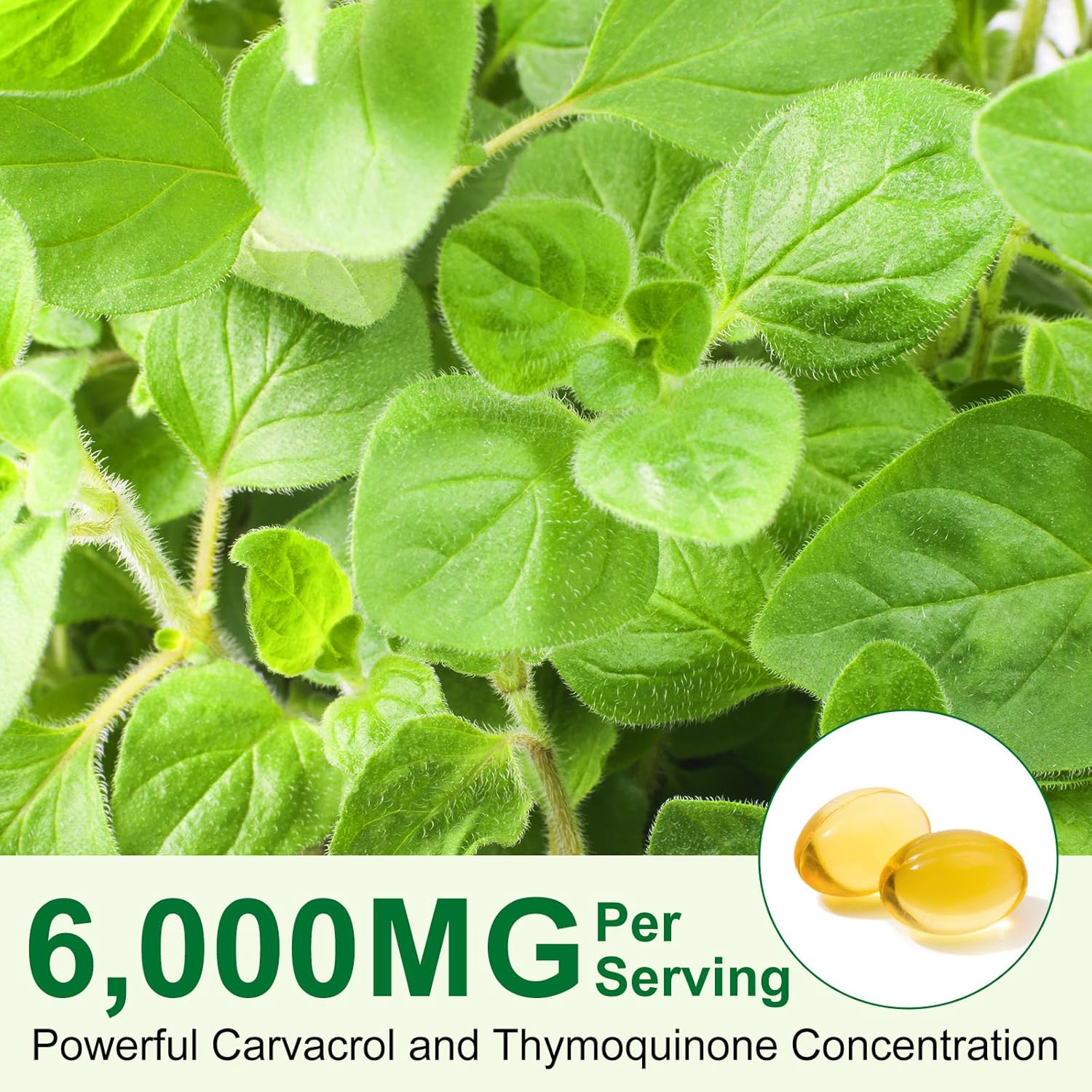 Thumbnail 4 de Aceite de Orégano con Semilla Negra