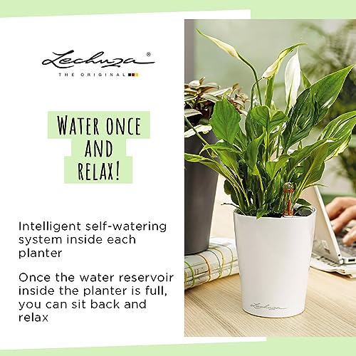 Thumbnail 5 de Lechuza 14904 Maceta Deltini Premium Kit 🌿 (14x18)