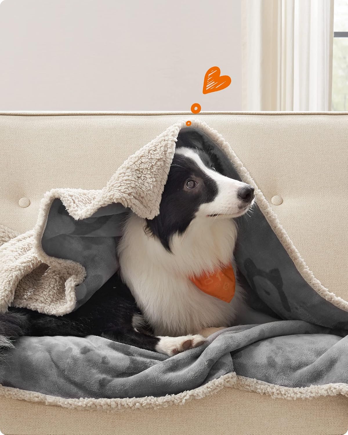 Detalle 2 de Feandrea PPB060G01 Waterproof Dog Blanket 152 x 127 cm