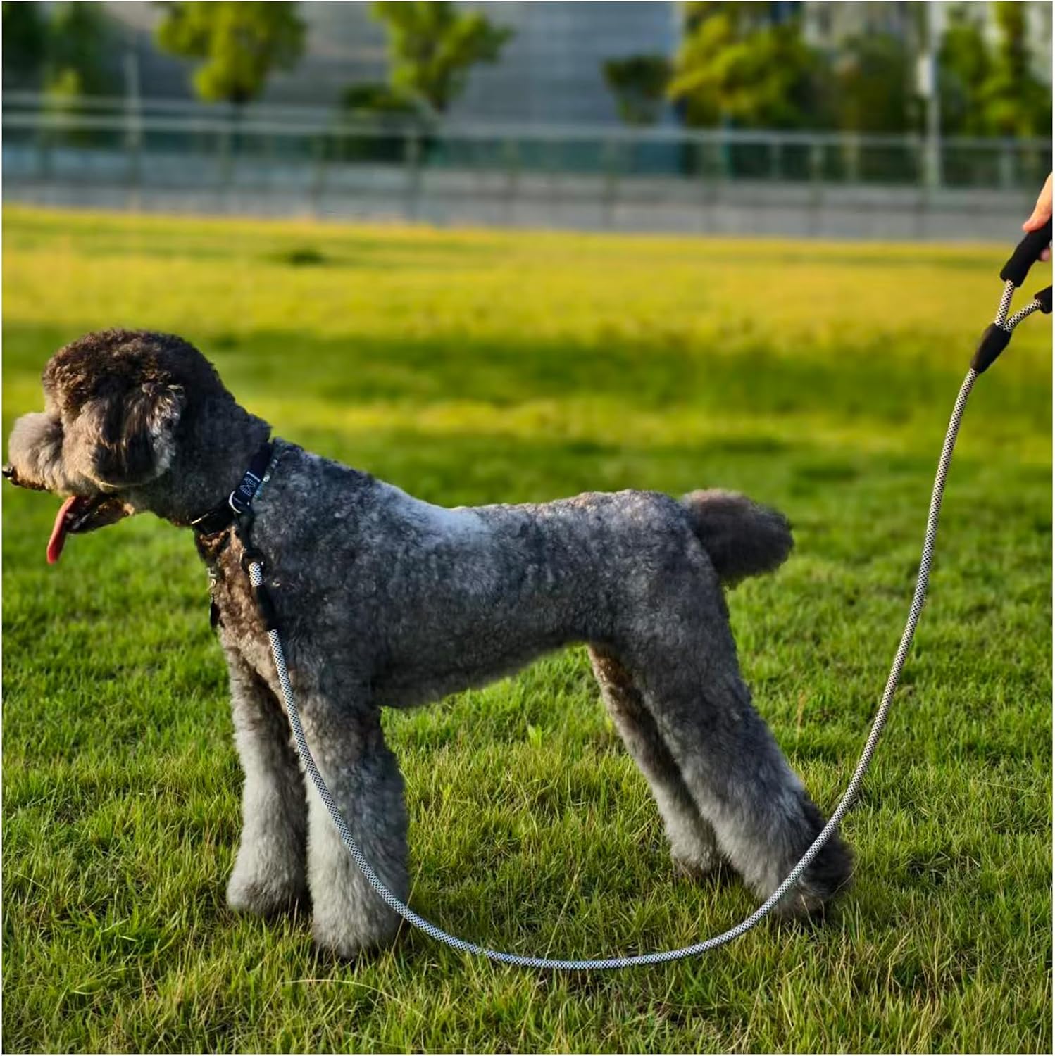 Thumbnail 6 de MayPaw 6FT Heavy Duty Rope Dog Lead with Soft Padded Handle – 1/2" x 6' for Medium to Large Dogs