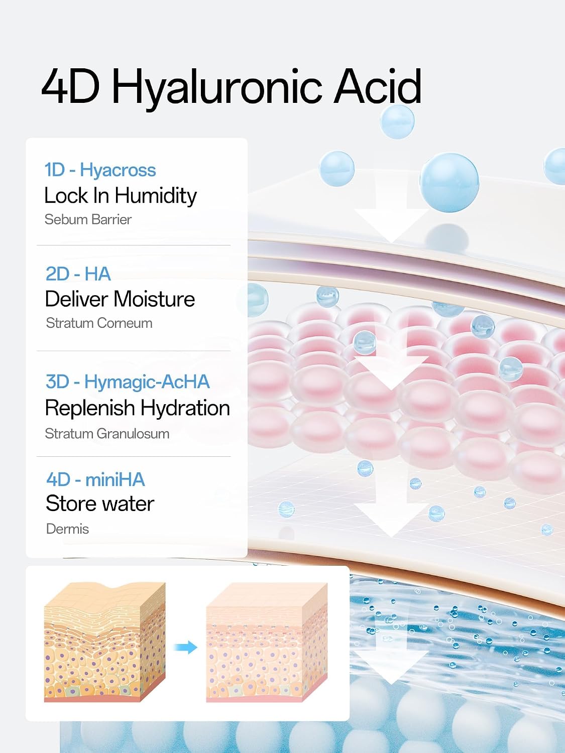 Thumbnail 5 de WNP Hyaluronic Acid Serum 3% with 4D Multi-Layer Hydration — Ultra Hydrating Anti-Aging Serum
