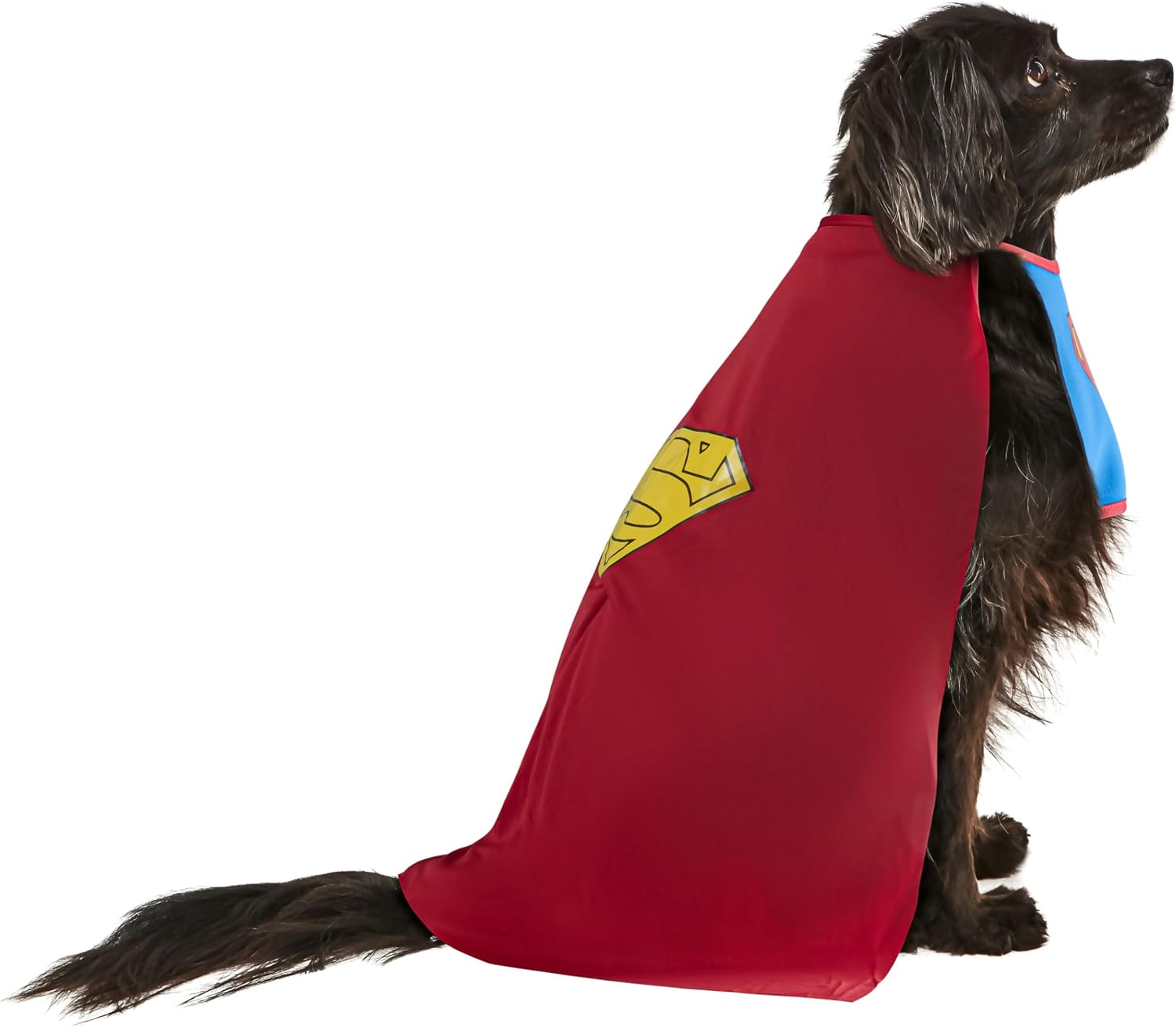 Thumbnail 6 de Rubies Superman pet costume Medium