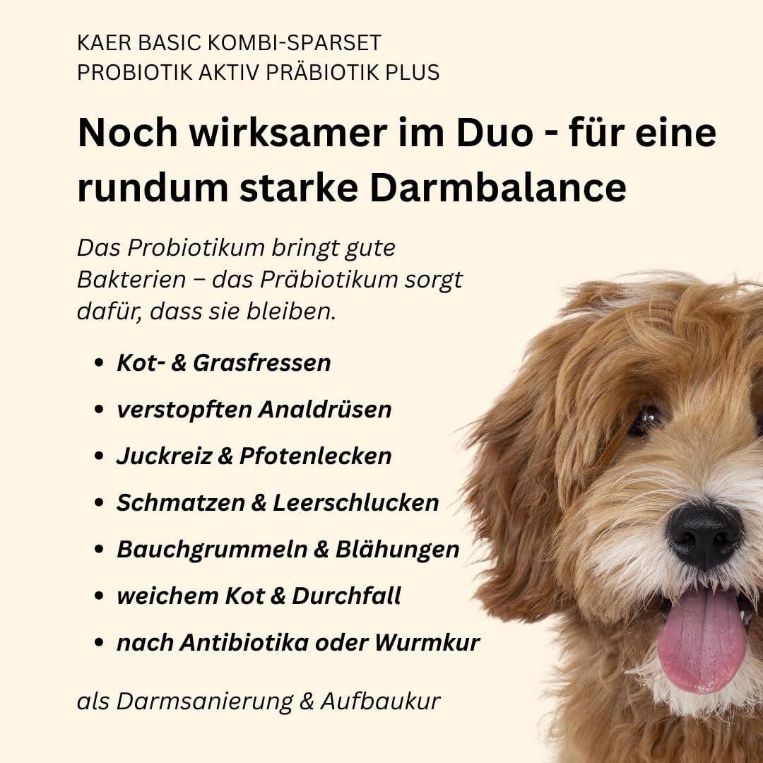 Detalle 2 de kaer basic Probiotik Aktiv für Hunde – lebende Darmbakterien in Drops für Darmsanierung & Aufbaukur