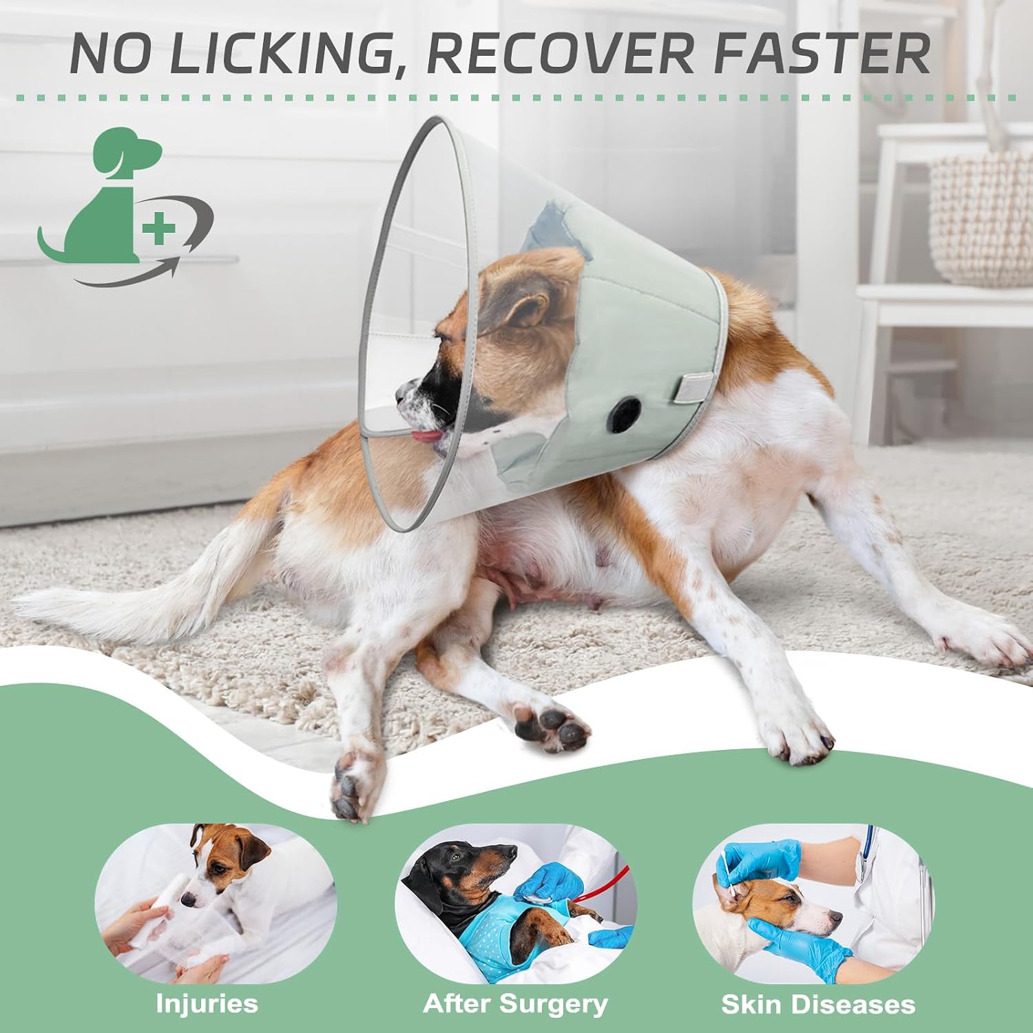 Detalle 2 de Supet Soft Pad Clear Elizabeth Recovery Dog Cone Collar (Size M, Green) for Post-Surgery and Injury