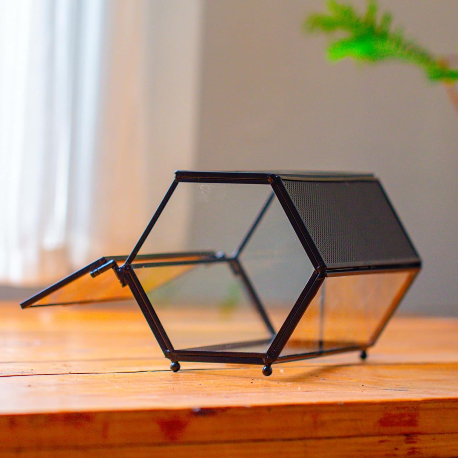 Detalle de NCYP Mini Glass Enclosure Terrarium with Mesh & Door for Jumping Spiders — Hexagon, 20 x 11.5 x 10 cm