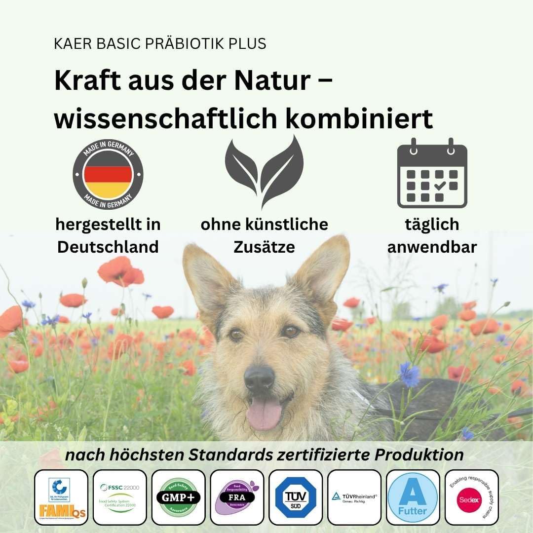 Detalle de kaer basic Präbiotik Plus Pulver für Hunde (2×200 g) – Probiotika-Unterstützung für die Darmflora