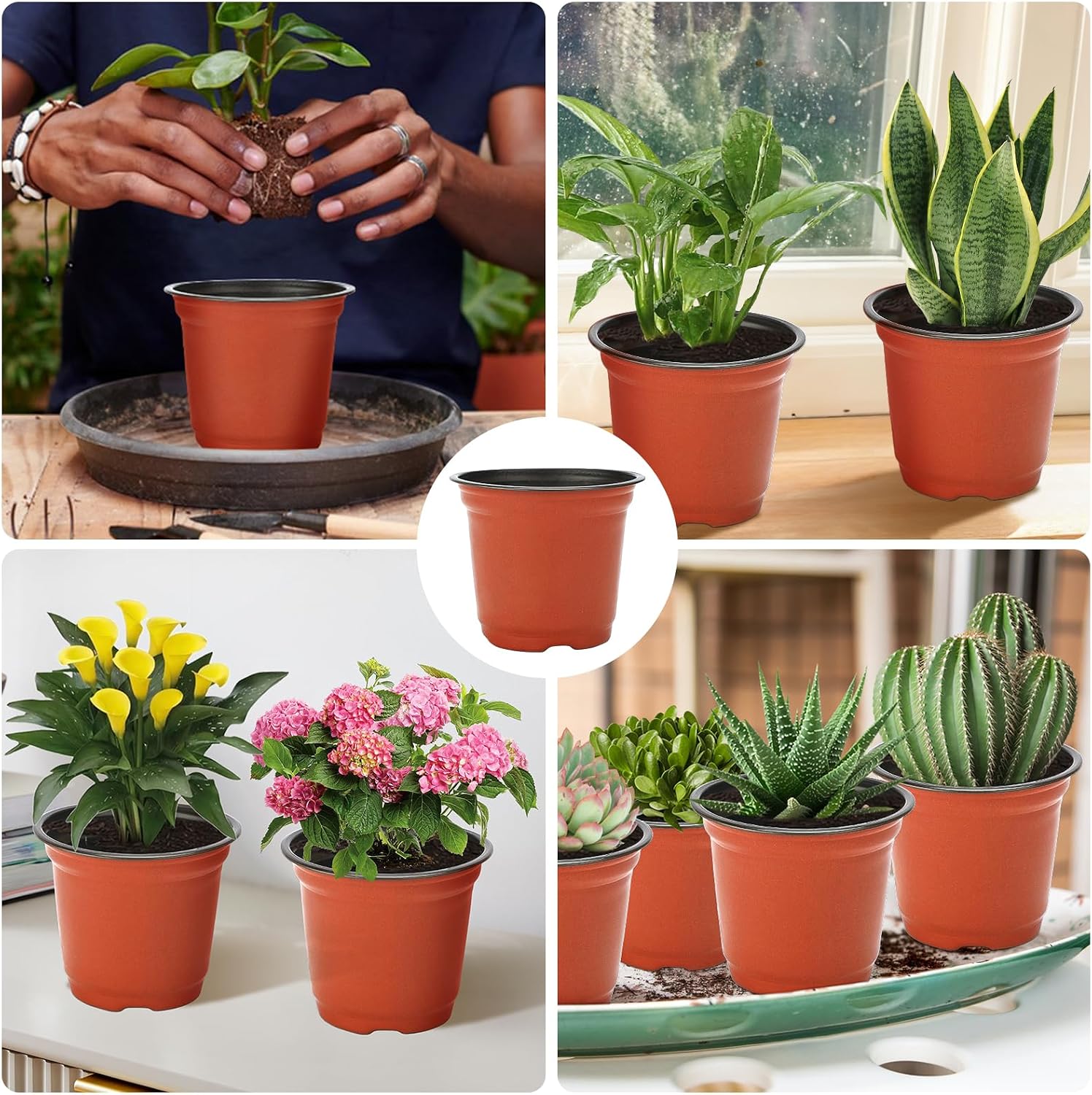 Detalle 1 de KINGLAKE plastic plant pots 15 cm, 50 pack