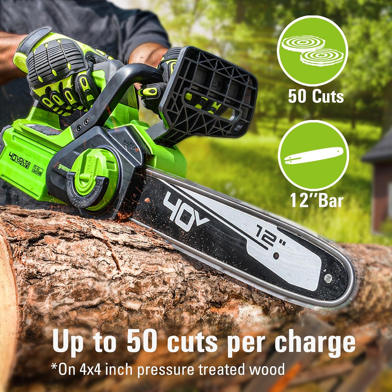 Detalle de Greenworks cordless chainsaw, 12-inch
