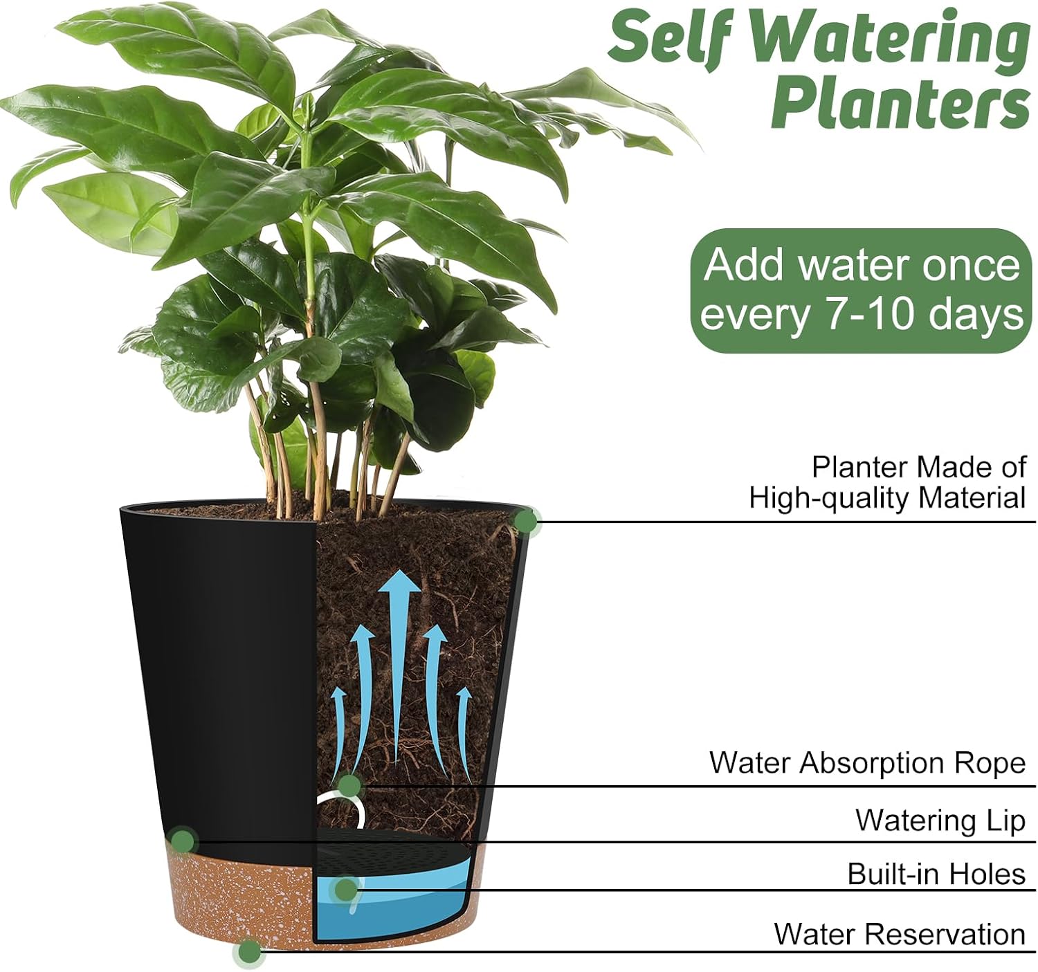 Detalle de YNNICO 6-Piece Self-Watering Planter Set, Black Plastic Pots, 5–8 Inches