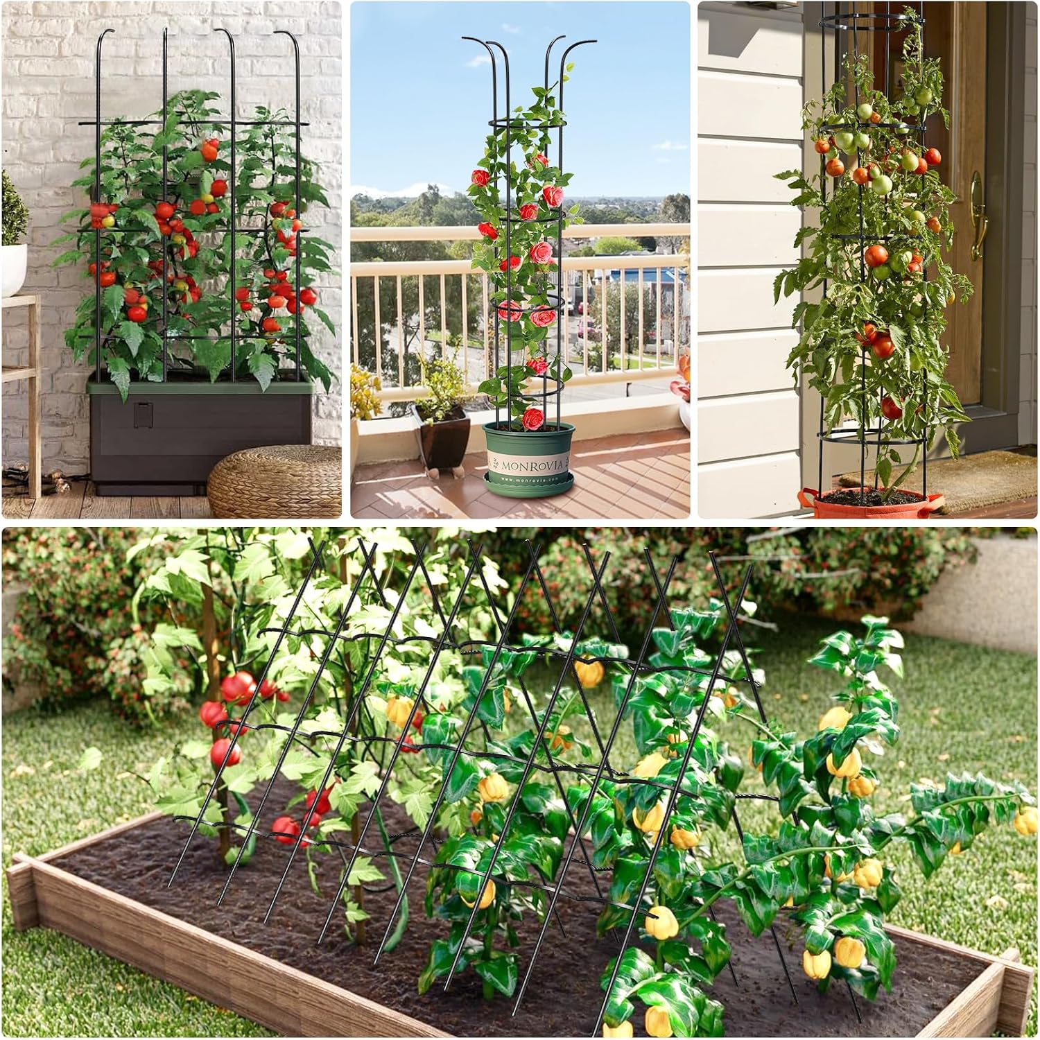 Detalle 2 de MQUPIN Garden Obelisk Upgraded tower support for climbing plants (189cm)