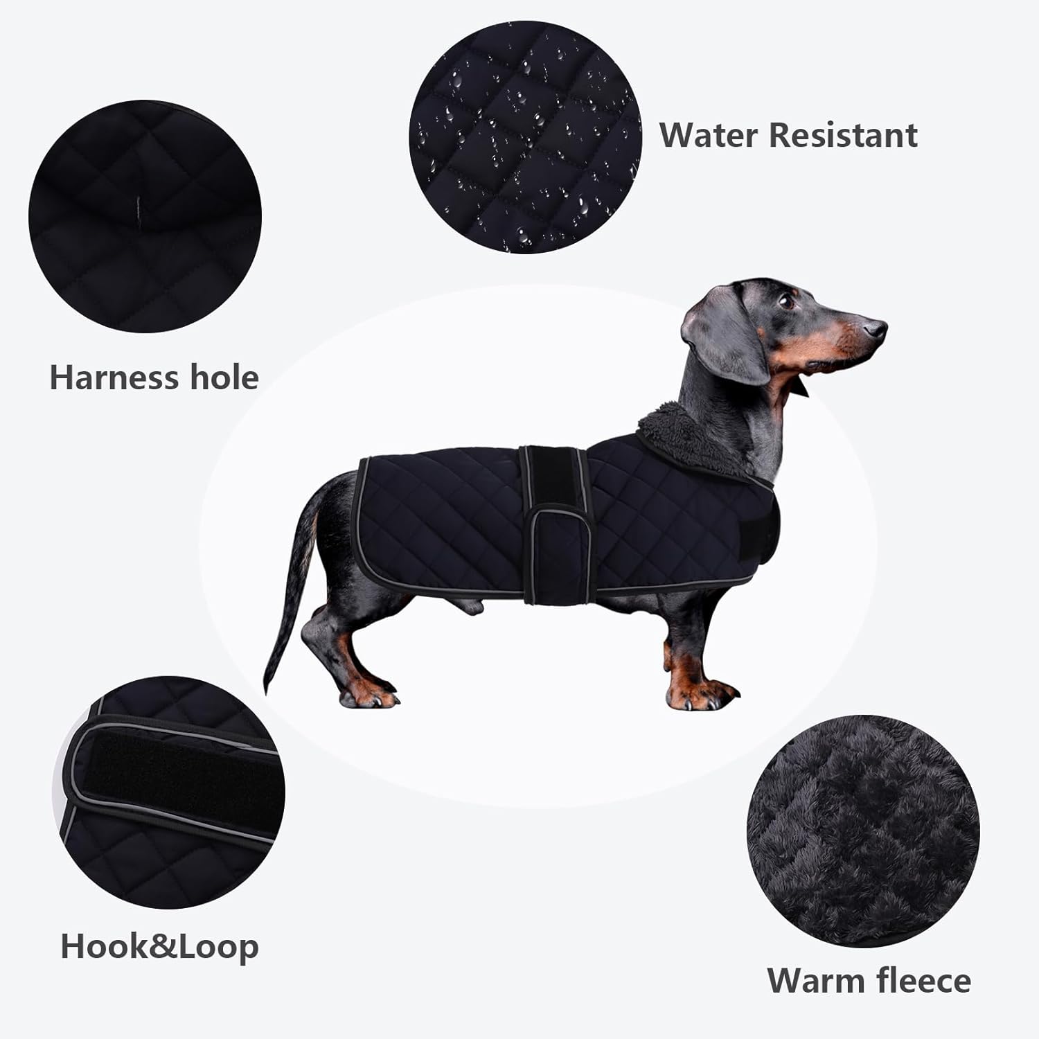 Thumbnail 2 de Morezi Dachshund Winter Coat with Fleece Lining (Dark Blue) – Padded, Windproof & Water-Resistant – Size S