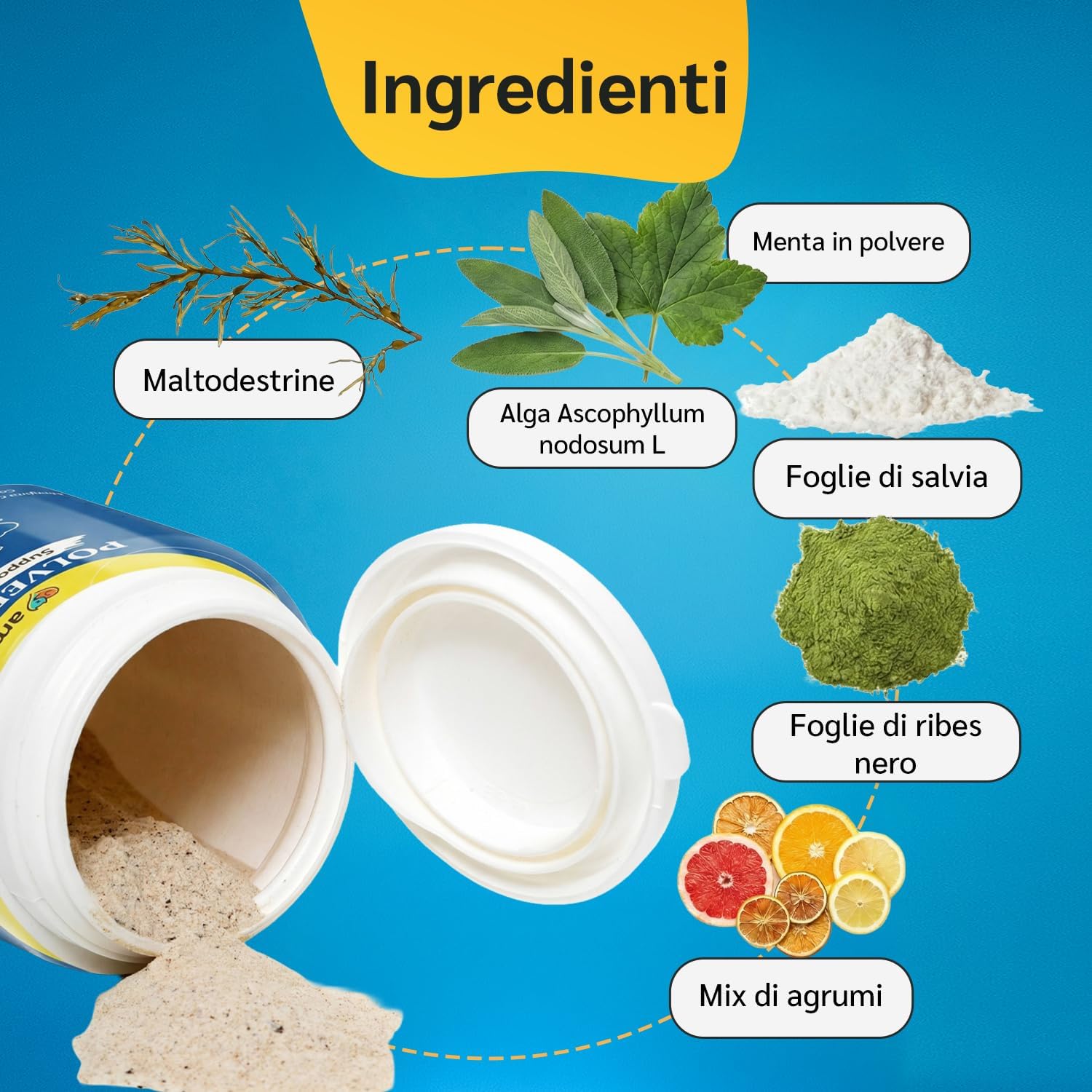 Thumbnail 3 de amusi Dentifricio per cani in polvere 60 g con Ascophyllum nodosum e menta