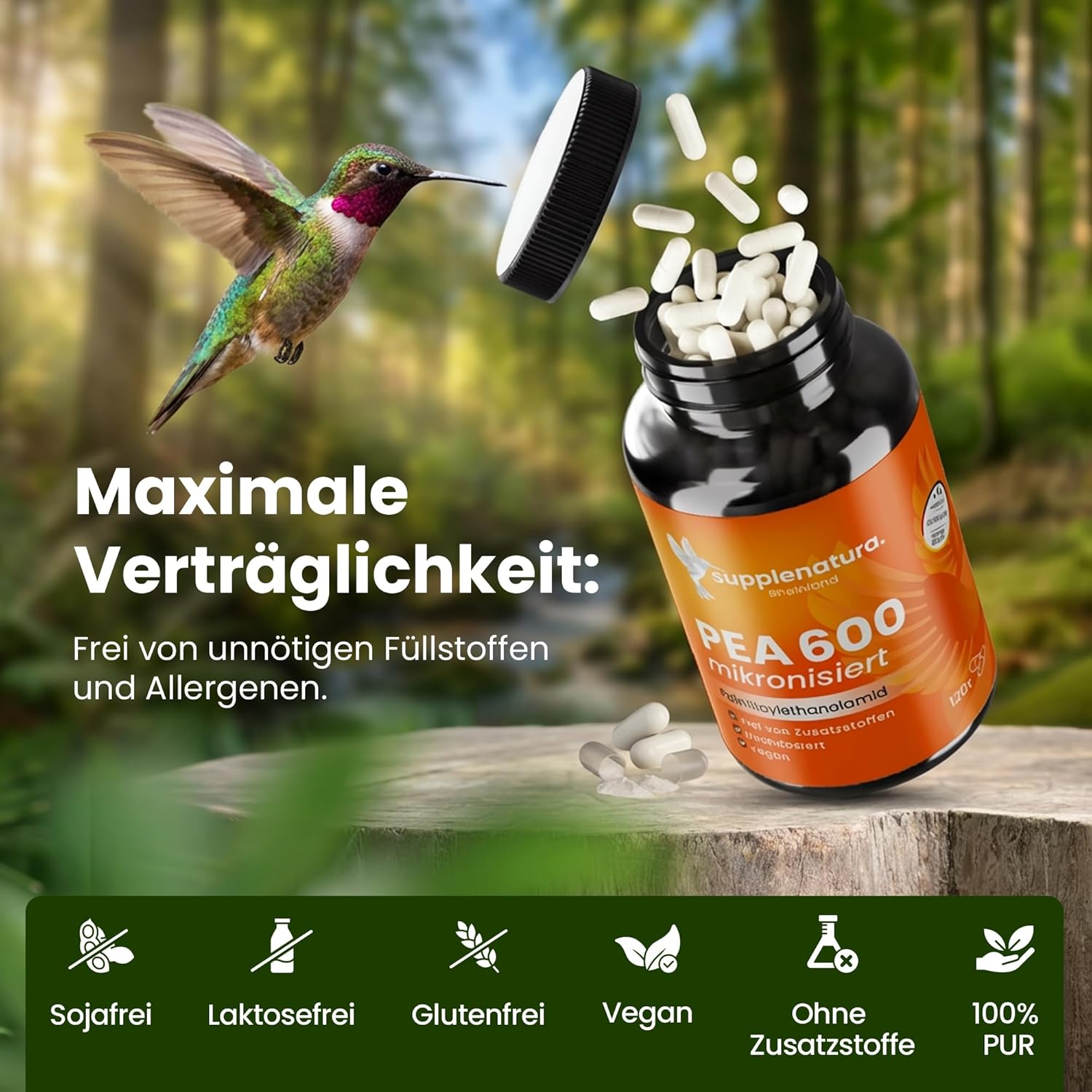Detalle 2 de PEA Kapseln | Mikronisiert 1200 mg Palmitoylethanolamid pro Tagesdosis – 120 Kapseln | 100% Pure Pea, laborgeprüft, hergestellt in Deutschland
