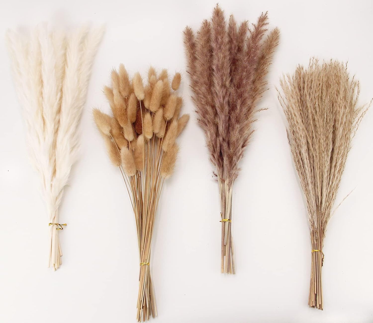 Detalle de ANPROOR SD-1 Dried Pampas Grass Bouquet, 100 Stems, 17-Inch White and Brown