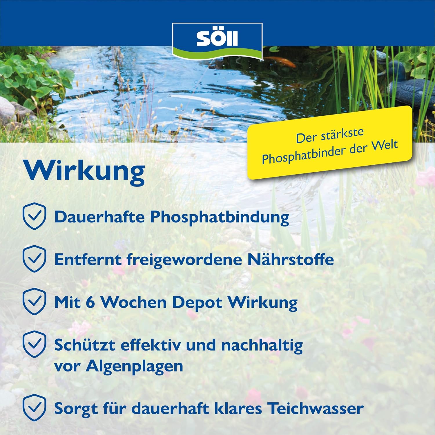 Detalle de Söll PhosLock 100 g – Ganzjährig aktive Phosphatbindung zur Algenvorbeugung im Teich