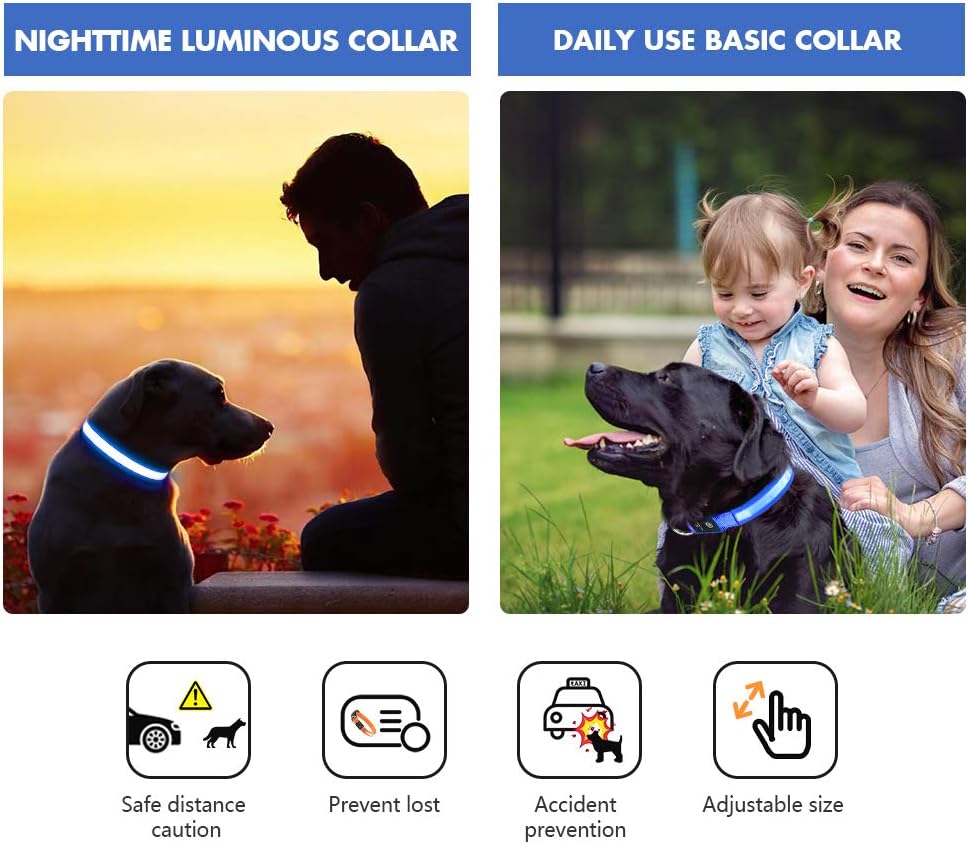 Thumbnail 6 de MASBRILL Collier Lumineux pour Chien Rechargeable – LED Étanche, 3 Modes, Taille L (Bleu)