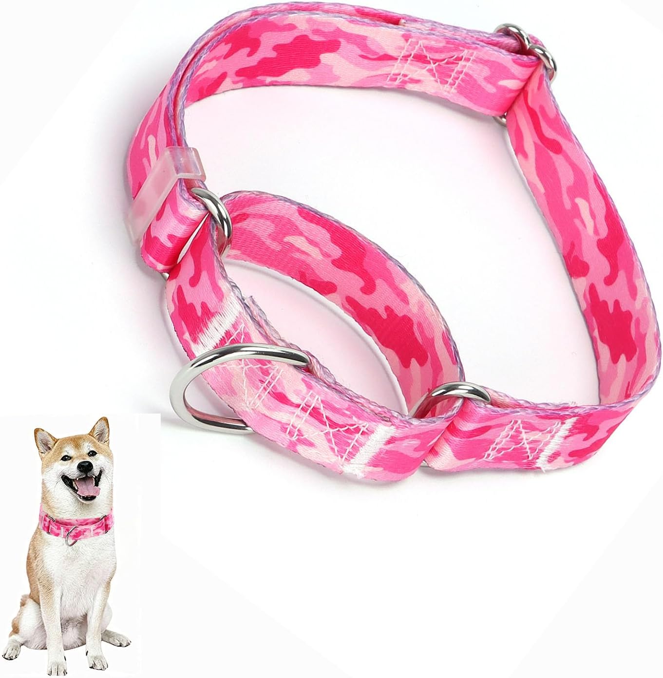 Thumbnail 6 de Martingale Dog Collar, Nylon