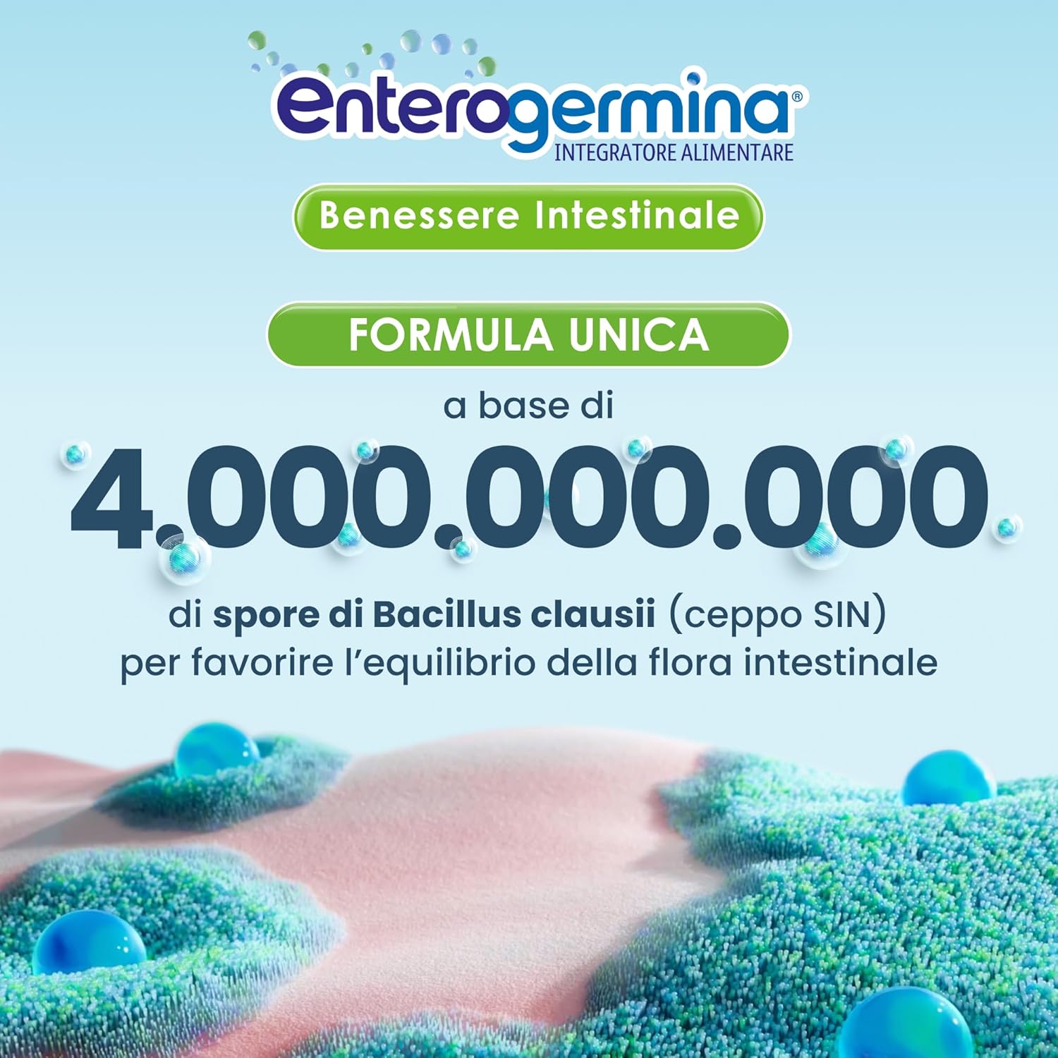 Detalle 2 de Enterogermina Benessere Intestinale, 20 flaconcini