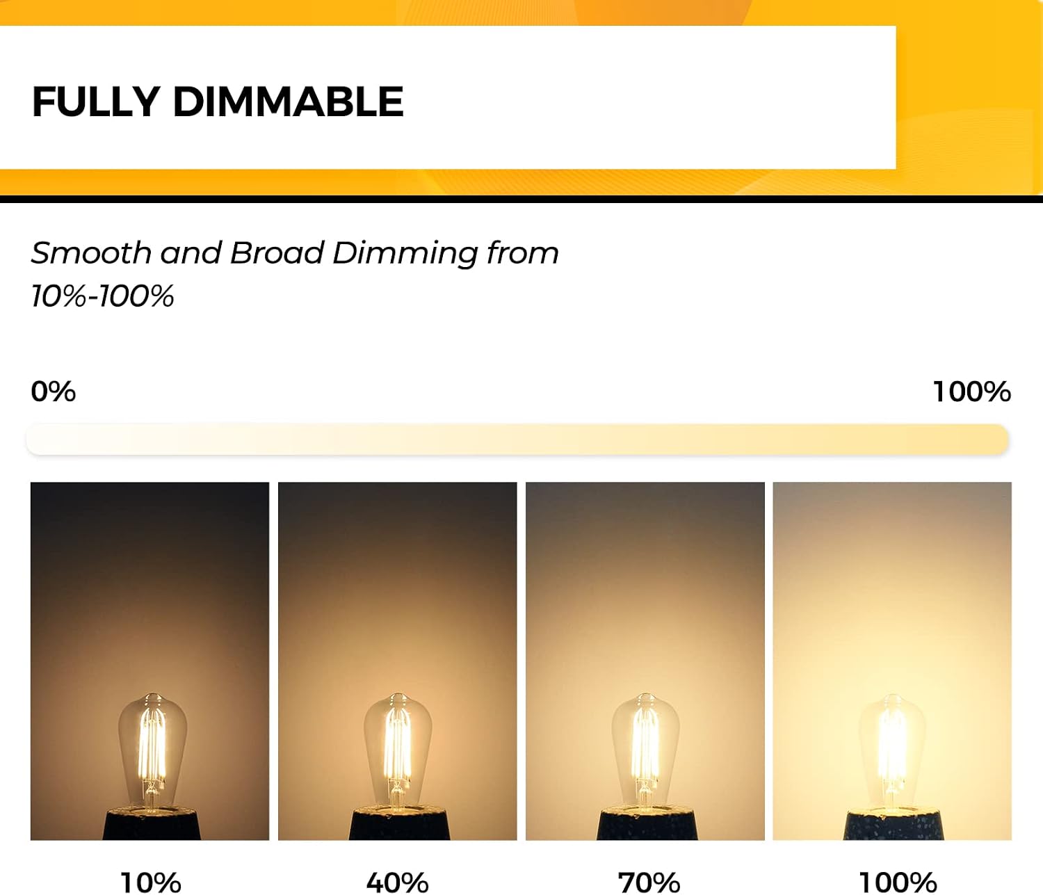 Detalle 2 de Hizashi LY-ST58-6W-W-90-C Dimmable E26 LED Edison Bulbs, 12-Pack