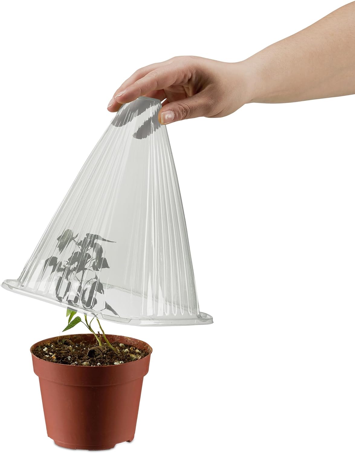 Detalle de Relaxdays Protezioni per Piante – Set 32 Coni Protettivi Antilumaca e Anti Gelo
