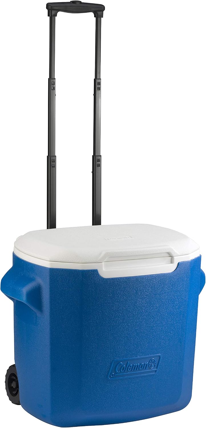 Detalle de Coleman Passive 28 QT Glacière 26 L