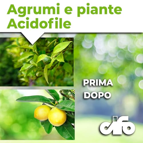 Detalle de CIFO Concime Agrumi a base di lupini macinati 2,5 Kg: nutrimento sostenibile per limoni, arance e piante acidofile