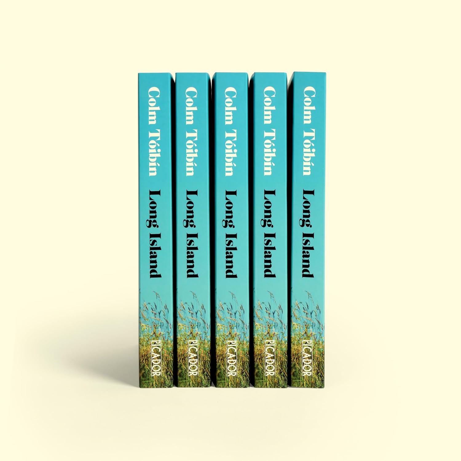 Thumbnail 6 de Long Island van Colm Toibin: fictieboek van 368 pagina’s