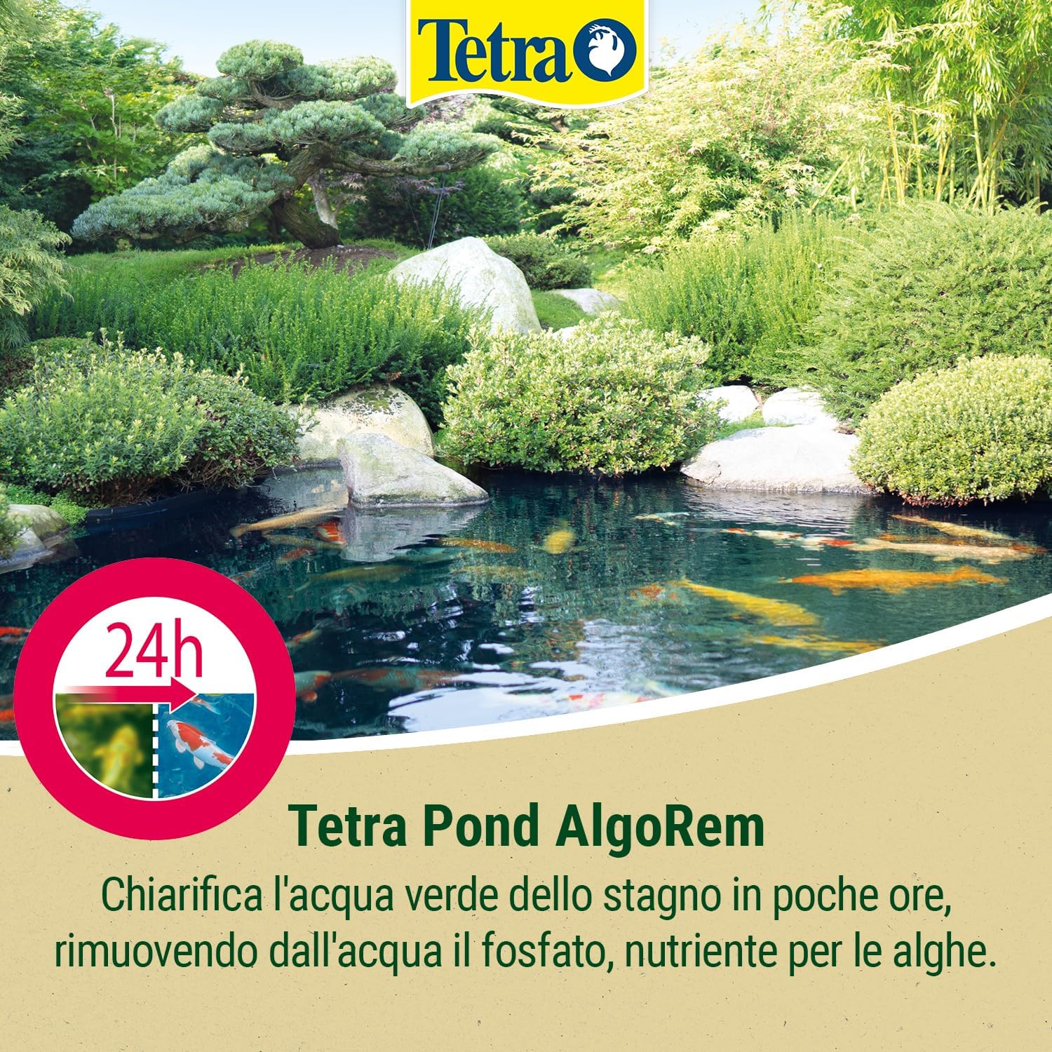 Thumbnail 3 de Tetra Pond AlgoRem 500 ml: rimuove rapidamente le alghe sospese per un laghetto limpido