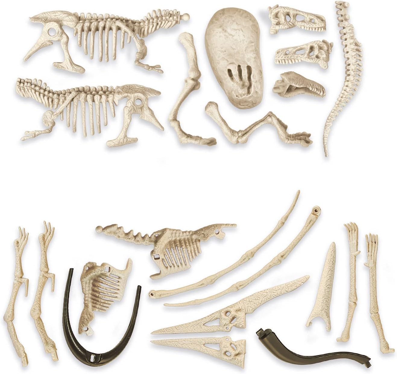 Detalle de Clementoni 19205 Jurassic World 3 Dinosaur Excavation Kit, T-Rex & Pteranodon