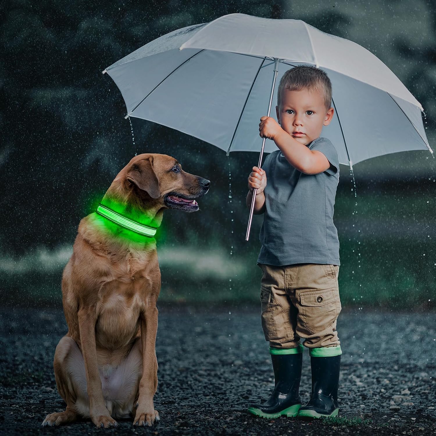 Thumbnail 5 de Leuchtendes Hundehalsband 7 Modi đ