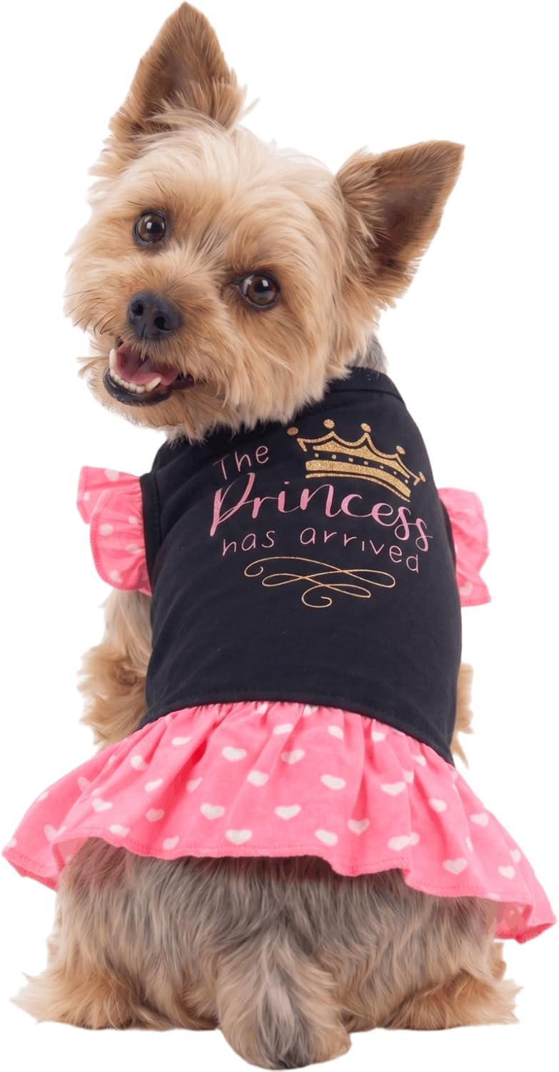 Detalle de Small Dog Dress XS