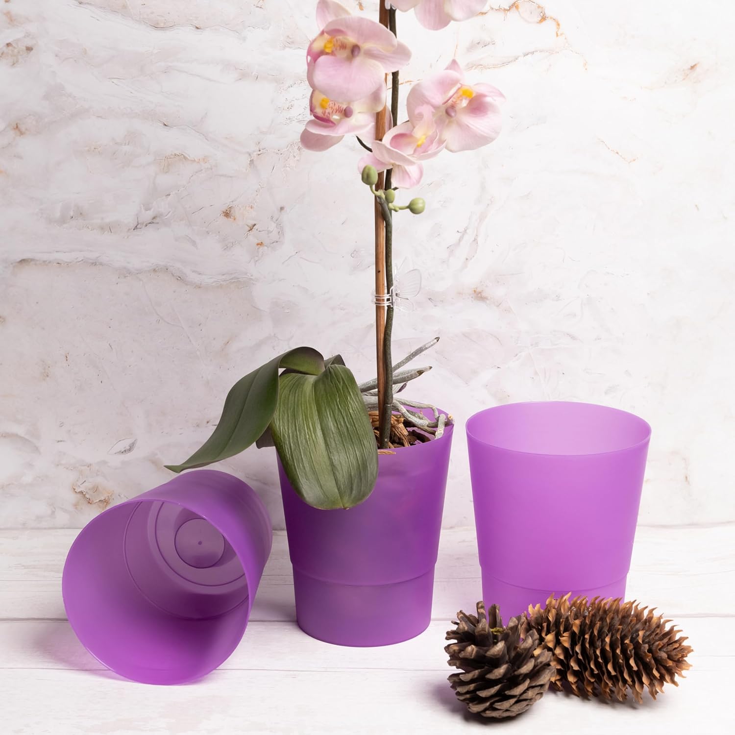 Thumbnail 1 de Home Garden Ornaments 12cm Orchid Pots Set of 3 (Purple) – Lightweight Plastic Indoor Planters