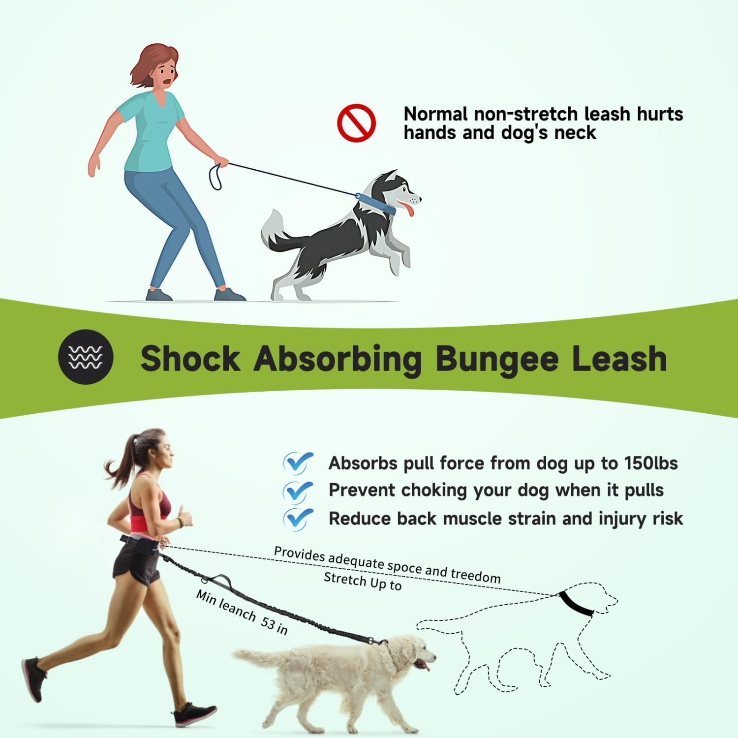 Thumbnail 4 de Nobleza Laisse Mains Libres pour Chien – Ceinture de Formation et Laisse Multifonction, avec Absorption de Choc et Bande Réfléchissante