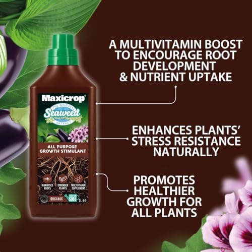 Thumbnail 1 de Maxicrop All Purpose Plant Growth Stimulant, 1L – Natural Seaweed Based Biostimulant