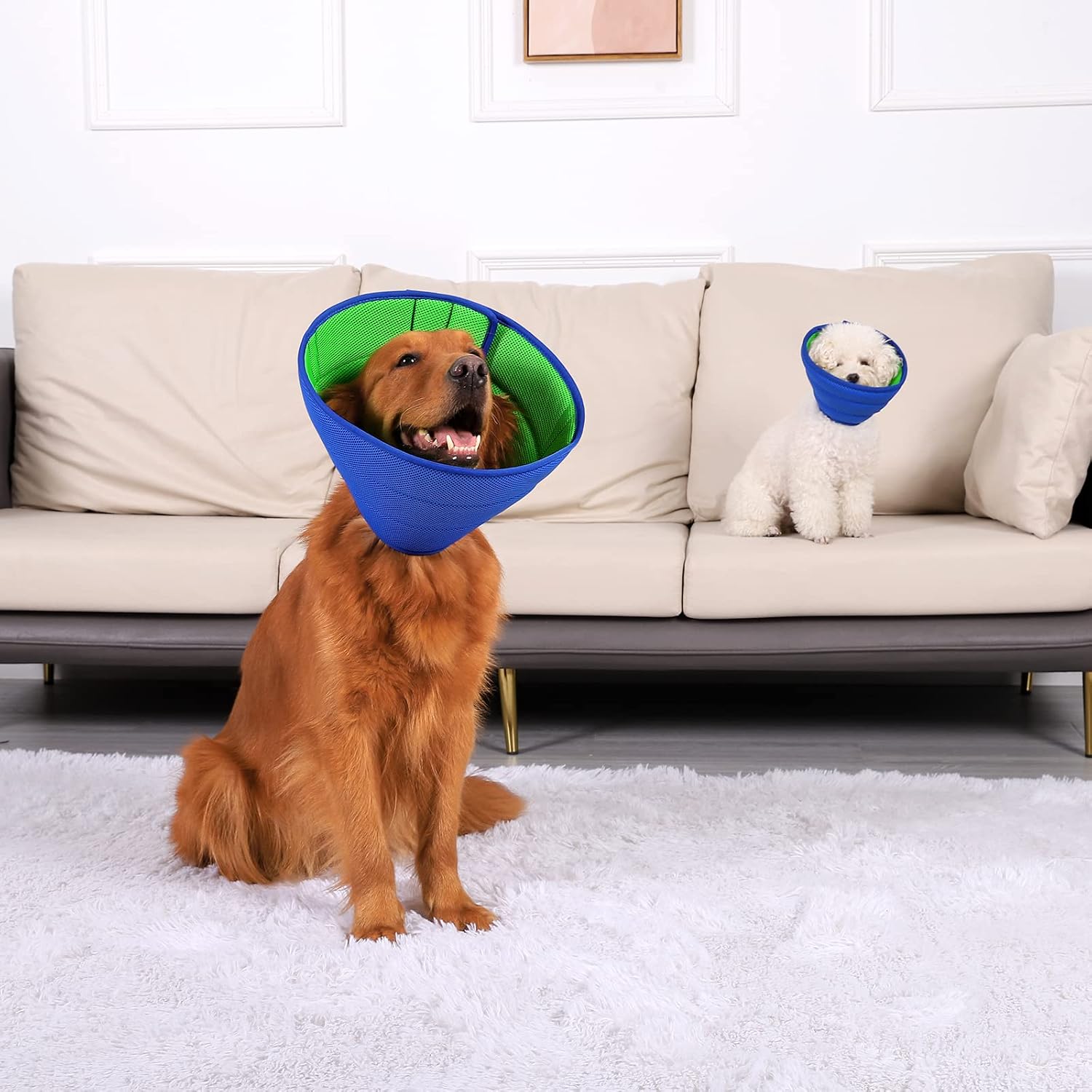 Thumbnail 5 de Soft Dog Cone Collar for Dogs After Surgery – Blue, Size 7