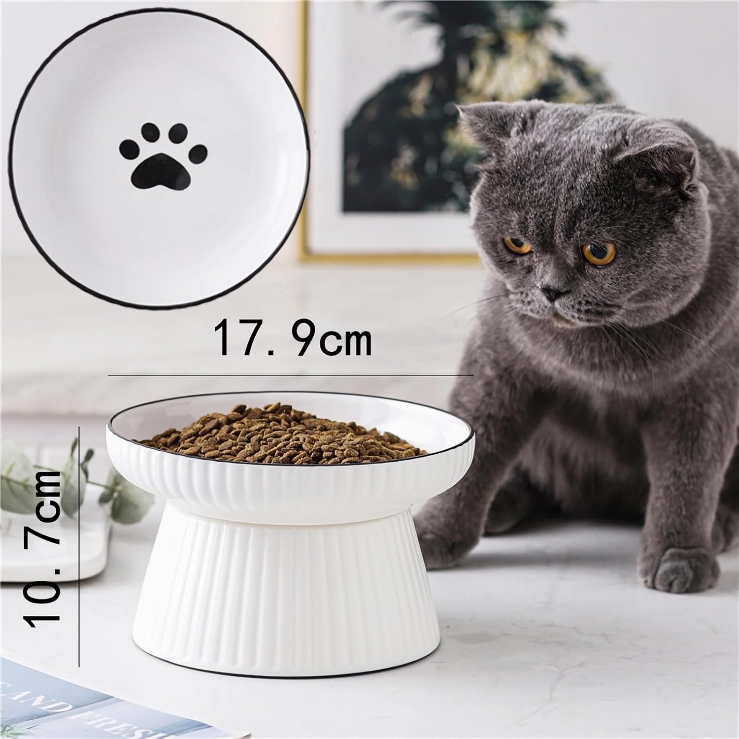 Thumbnail 1 de Elevated Cat Bowl: Raised Ceramic Dish for Comfortable, Stable Feeding