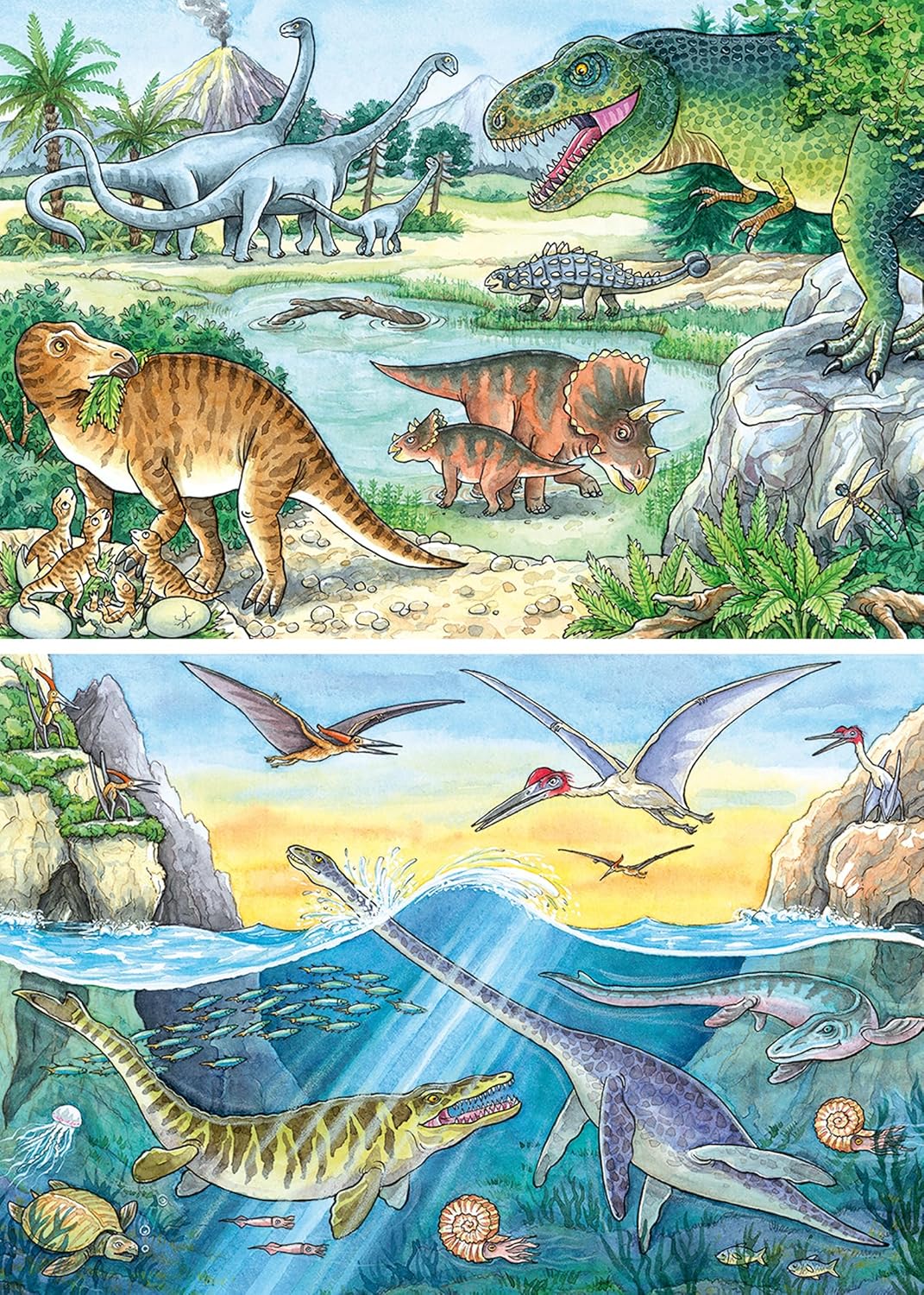 Thumbnail 1 de Ravensburger Kinderpuzzle 05128 Saurier und ihre Lebensräume – 2×24 Teile