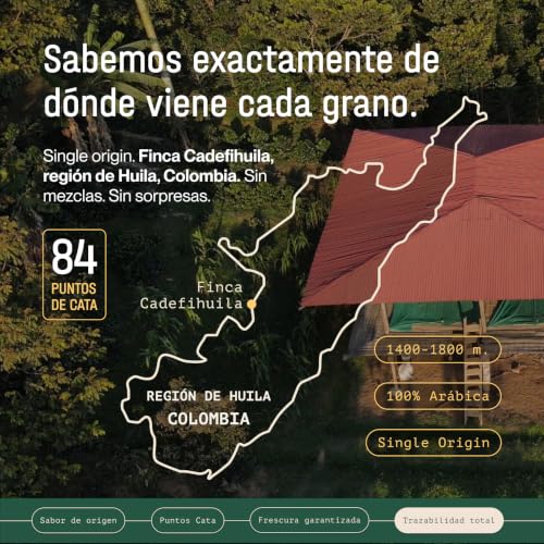 Thumbnail 6 de Incapto Café en Grano de Especialidad 1 kg — Origen Colombia, 100% Arábica, Tueste Natural y Artesanal