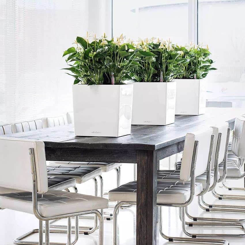 Detalle de LECHUZA Cube Premium 30 Blanco