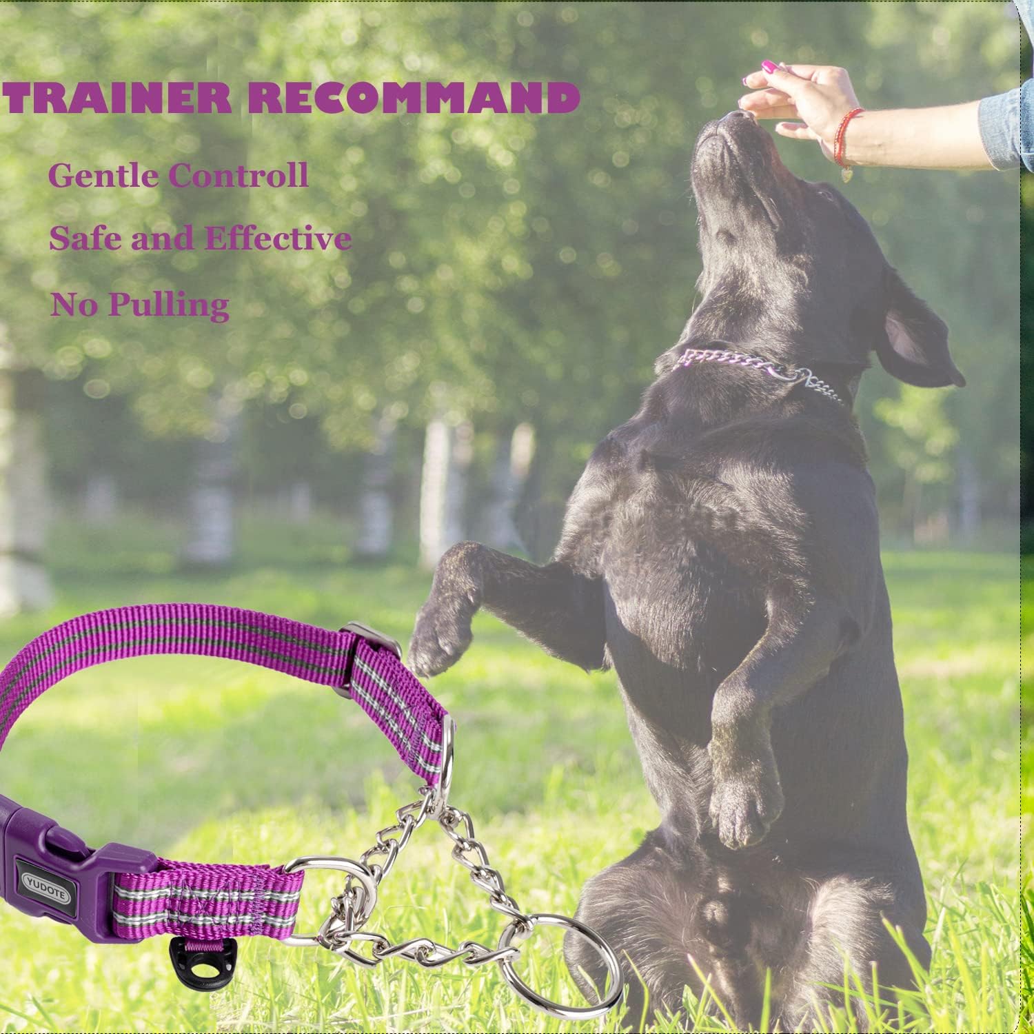 Thumbnail 3 de Petiry Half Choke Dog Collar with Quick Release Buckle (Large, Purple) for 44–56cm Necks