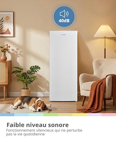 Detalle 2 de COMFEE' 230L Réfrigérateur 1 Porte – Frigo Compact Blanc, sans congélateur