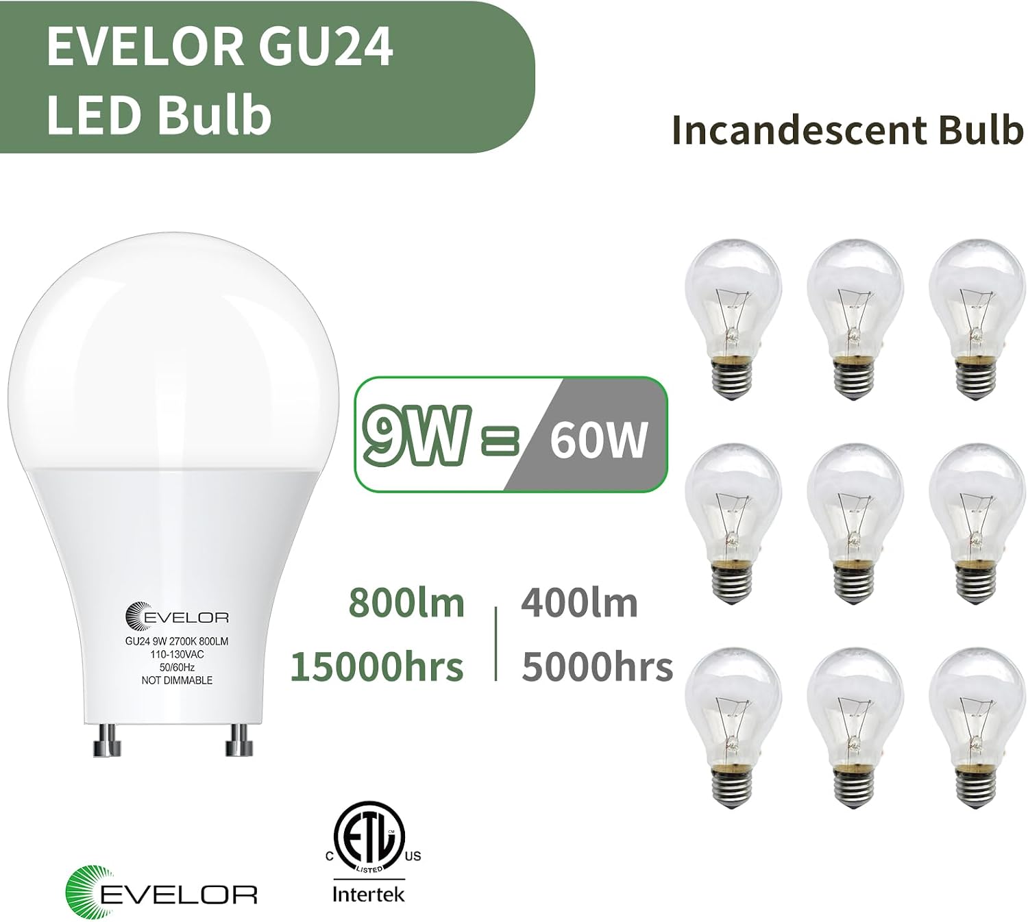 Detalle de Evelor GU24 LED Bulbs, 9W