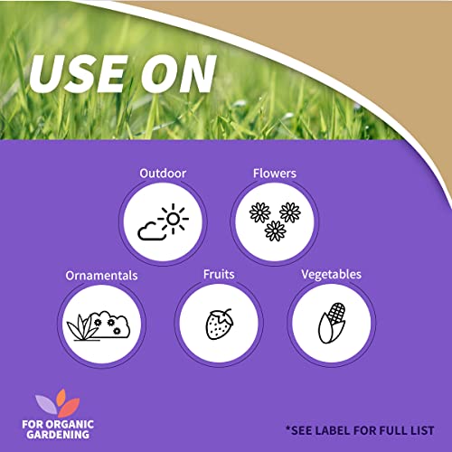 Detalle de Bonide Captain Jack's Copper Fungicide: 32 oz Ready-to-Use Spray for Organic Gardening