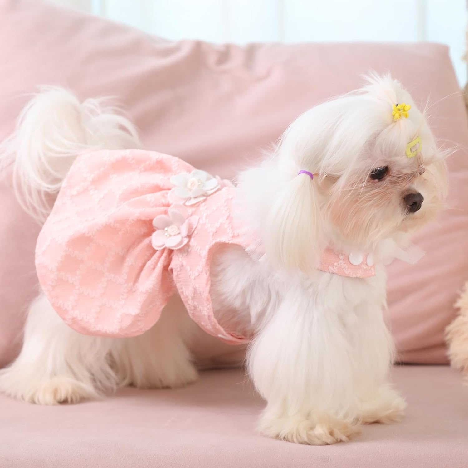 Detalle de Laifug dog dress, size M