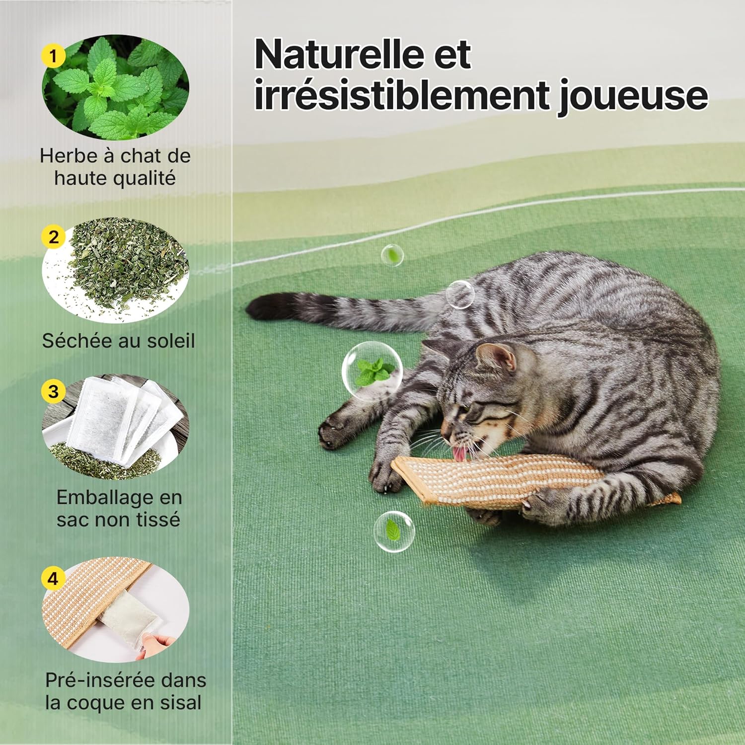 Thumbnail 2 de Lot de 2 jouets Potaroma pour chat avec herbe à chat bio (6000 mg A+) en sisal
