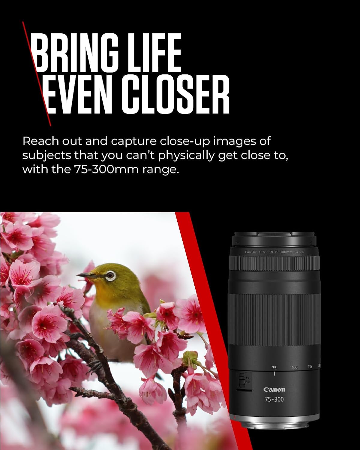 Detalle de Canon RF 75-300mm F4-5.6 Lens — Lightweight Telephoto Zoom for Canon EOS R