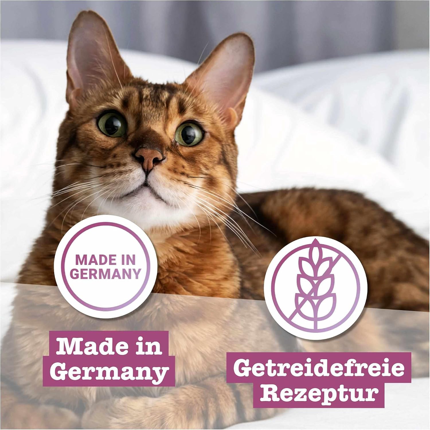 Detalle 2 de catz finefood Classic Collection Mix-Paket Nassfutter für Katzen – ohne Getreide, ohne Zucker, hoher Fleischanteil