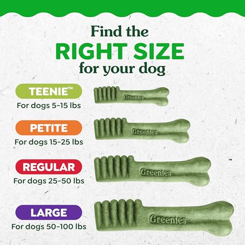Thumbnail 11 de Greenies Teenie Original Natural Dental Dog Treats, Chicken — 43 Count