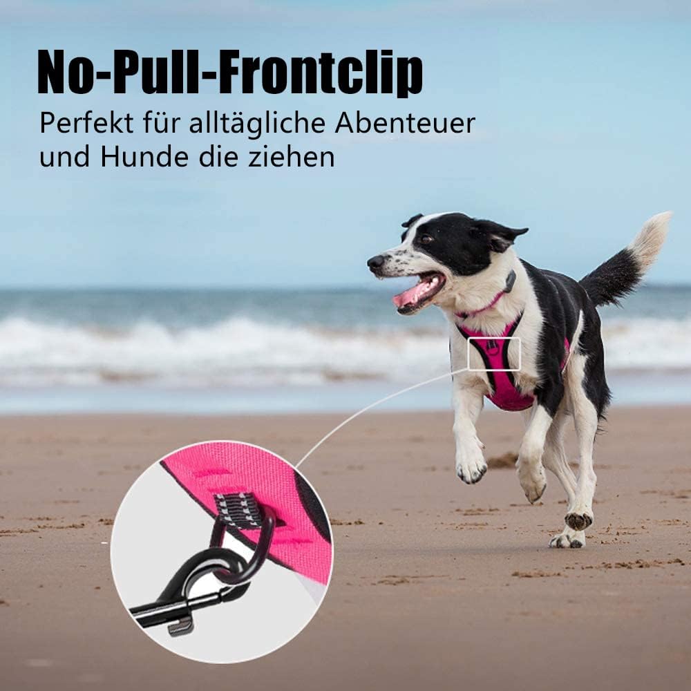 Detalle de PoyPet No Pull Hundegeschirr – reflektierendes Front- und Rückengeschirr für kleine bis mittelgroße Hunde (XS, Rosa, 1er Pack)