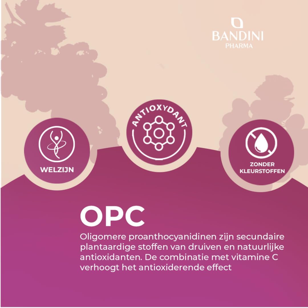 Detalle 2 de BANDINI OPC 95% druivenpitextract, 200 capsules met vitamine C